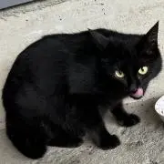もっちOMOの画像