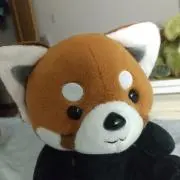 カッシーの画像