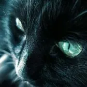 ぬわーん