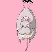 しょこらの画像