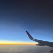 さくらまるの画像