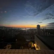 TGの画像