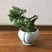 もこの画像