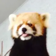 まりもの画像