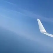 aoiの画像