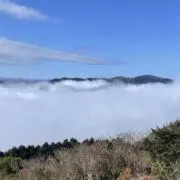 ぴょん【値下げ交渉可】の画像