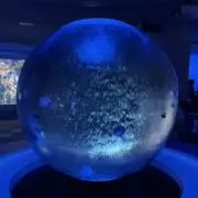 P（お盆期間配送停止）の画像
