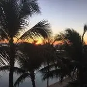 よっしーの画像
