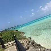 montaの画像
