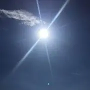 ラベンダー