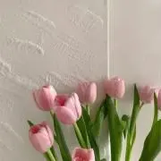 ゆるこの画像
