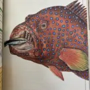 引越し断捨離中