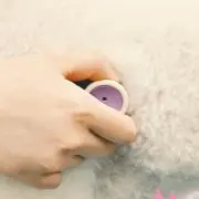 ໒꒱の画像