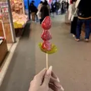 わさびの画像