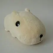 はろはろの画像