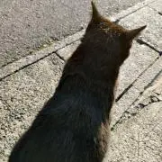 ららたそ✩.*˚