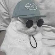 ことの画像