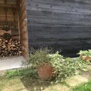 マイの画像