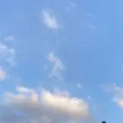 まな