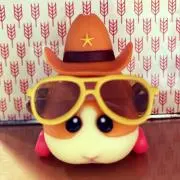 momiの画像