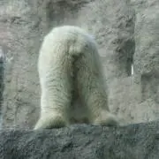 もぐこの画像