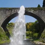 旺樹の画像