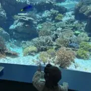 子ども用品断捨離中★yuunaの画像