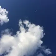 Tsuneの画像