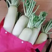 ▼・ᴥ・▼の画像