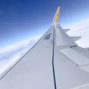 こーじの画像