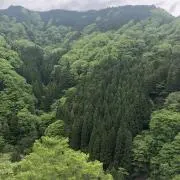 アツの画像