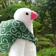 ピコロ(^^)