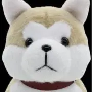 まさーるの画像