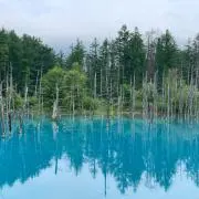 Nomの画像