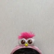 hanaの画像