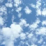 Image of モモクリ※無言取引希望※