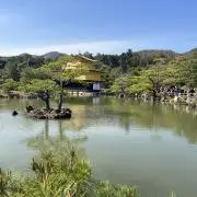 そーたの画像