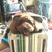 たっちゃん
