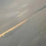 おるの画像