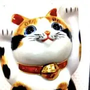 X⭐️の画像