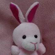 えりんの画像