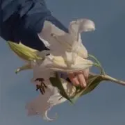 みょ。