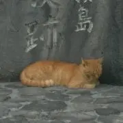 Kazuko