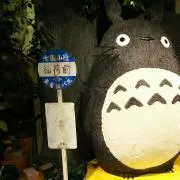 みーたんの画像