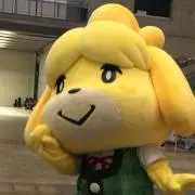 やふこの画像