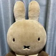 Yusuke20の画像