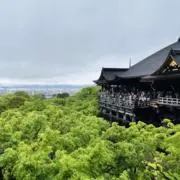 Rukaの画像