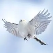 SNOW【プロフ必読】