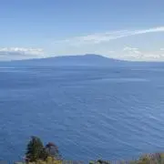 リュウの画像