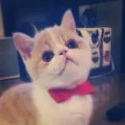 hihirommyの画像